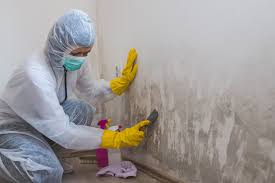 Forensic Mold Investigation in Laguna Park, TX